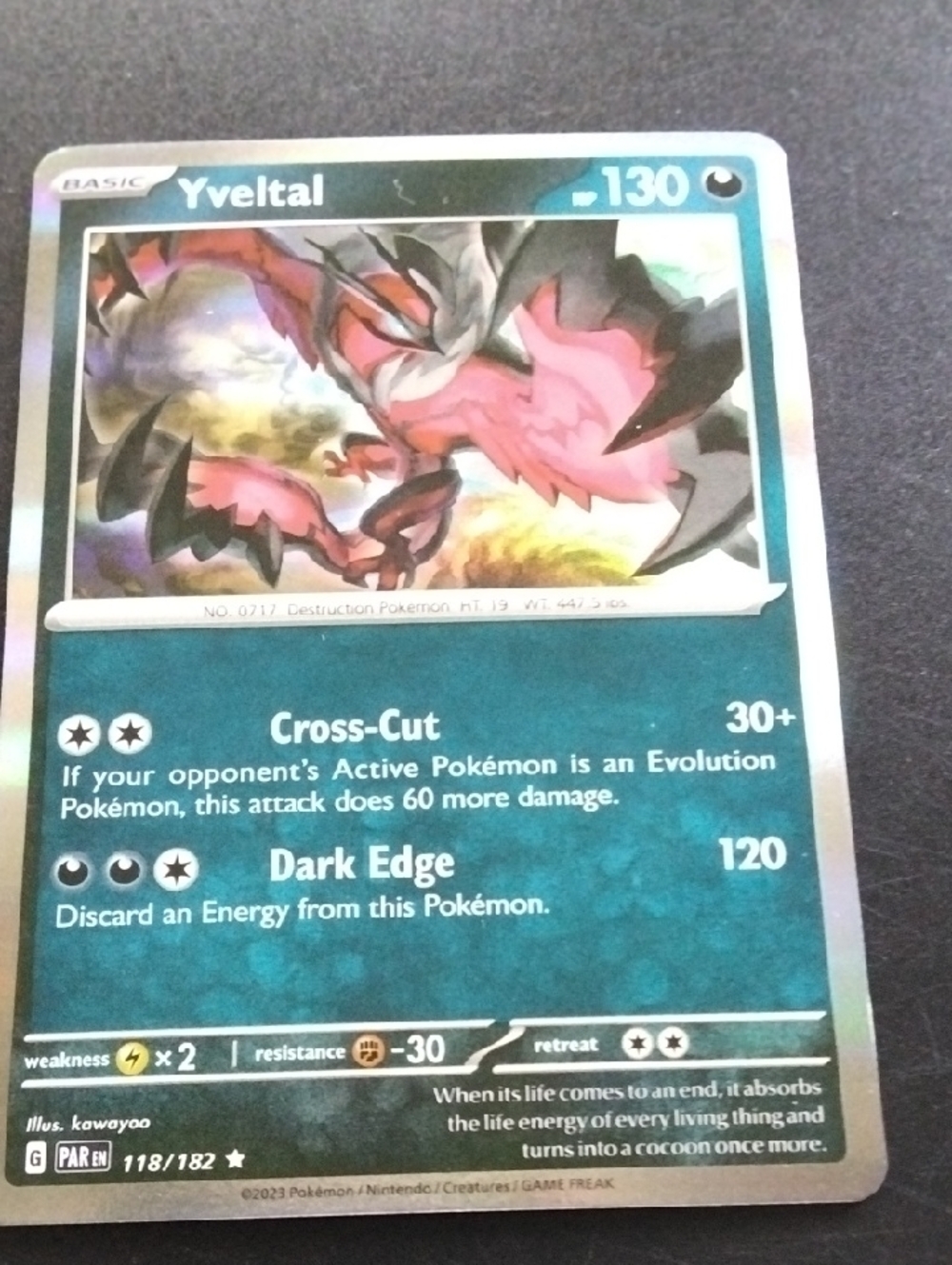 Yveltal Holographic
